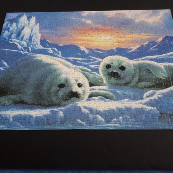 10-in-1 Deluxe Jigsaw Puzzle Set - Multicolor - Picture 11 of 16